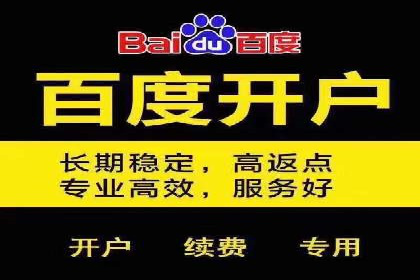 百度推广与品牌建设的结合案例